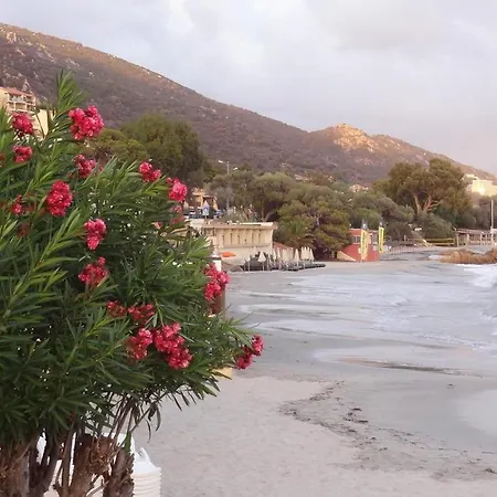 « marinella » Splendide Vue Aux Sanguinaires Апартаменти