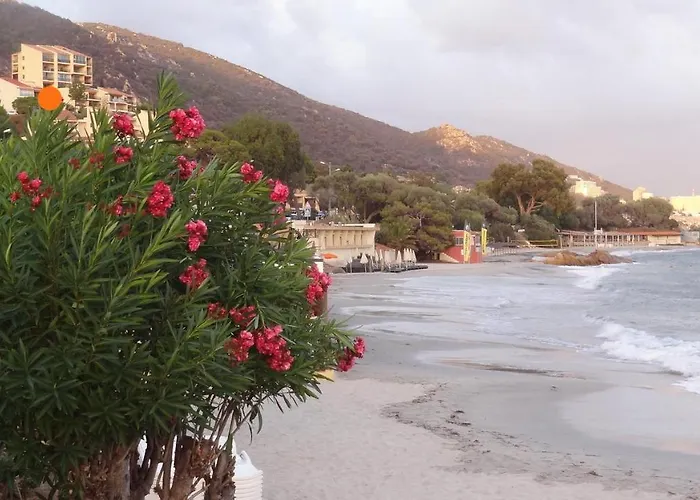 « marinella » Splendide Vue Aux Sanguinaires Апартаменти